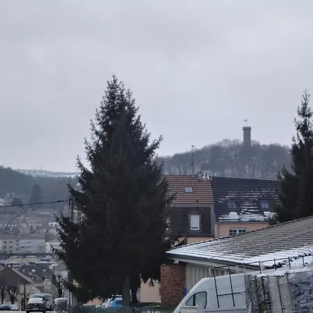 Chez Jpzen Nowicki Freyming-Merlebach