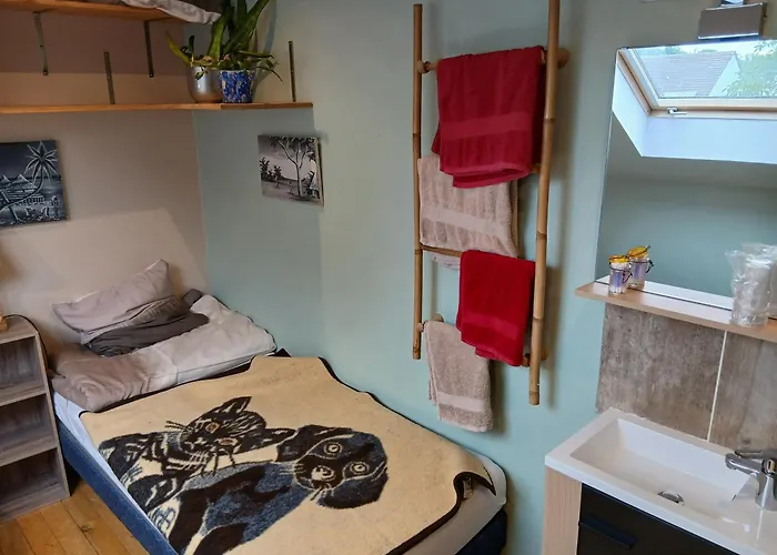 Chez Jpzen Nowicki Freyming-Merlebach